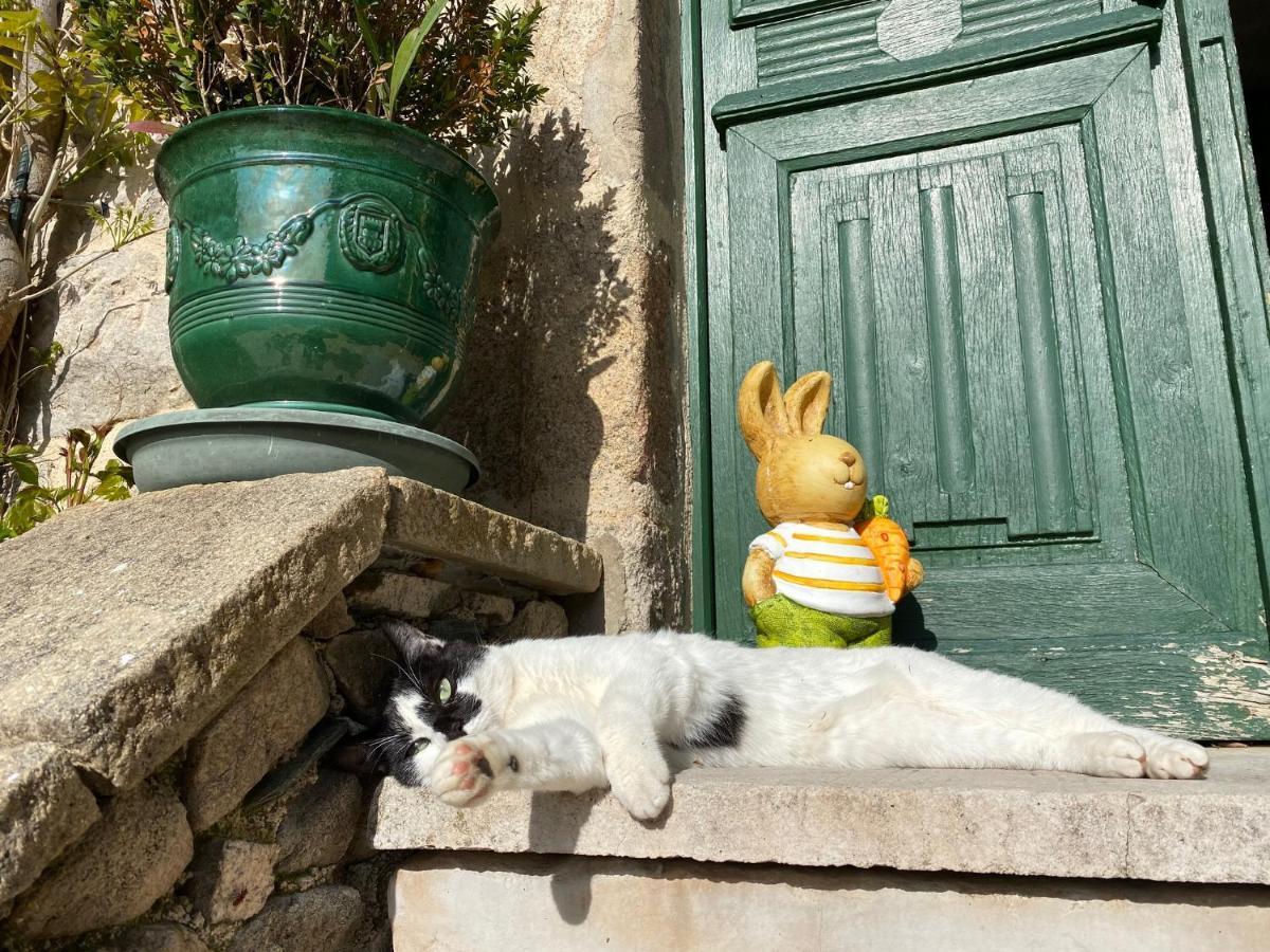 Le Clos St Georges Entraygues-sur-Truyere Luaran gambar